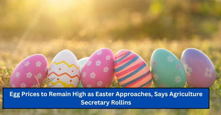 Egg Prices to Remain High as Easter Approaches, Says Agriculture Secretary Rollins